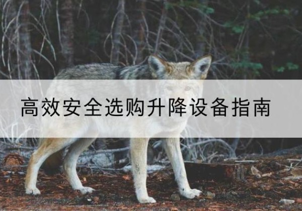 全椒升降货梯厂家推荐-*安全选购升降设备指南