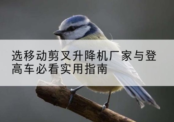 全椒电动升降机厂家-选移动剪叉升降机厂家与登高车必看实用指南