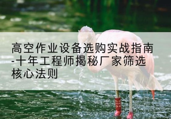 全椒剪叉式升降机厂家-高空作业设备选购实战指南-十年工程师揭秘厂家筛选核心法则